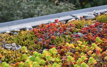 the cost of Lower Pilsley green roof installation